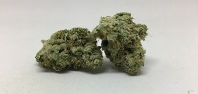 Is The Wedding  Cake  Weed From Exotikz Worth Your Money 