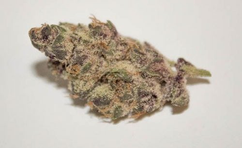 Reviewing Phat Panda's Limited Edition Tropicanna Cookies