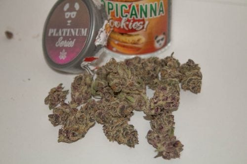 Tropicanna Cookies