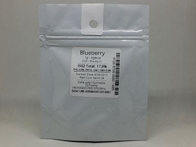 Blueberry Blueberry Cannabis Review (Feat. OG Farms)