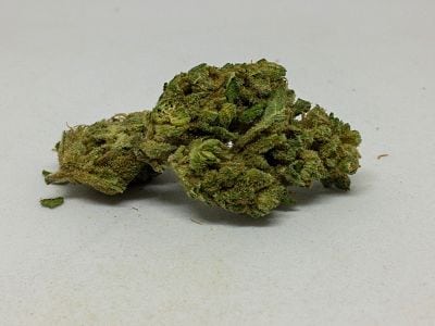 Blueberry Blueberry Cannabis Review (Feat. OG Farms)