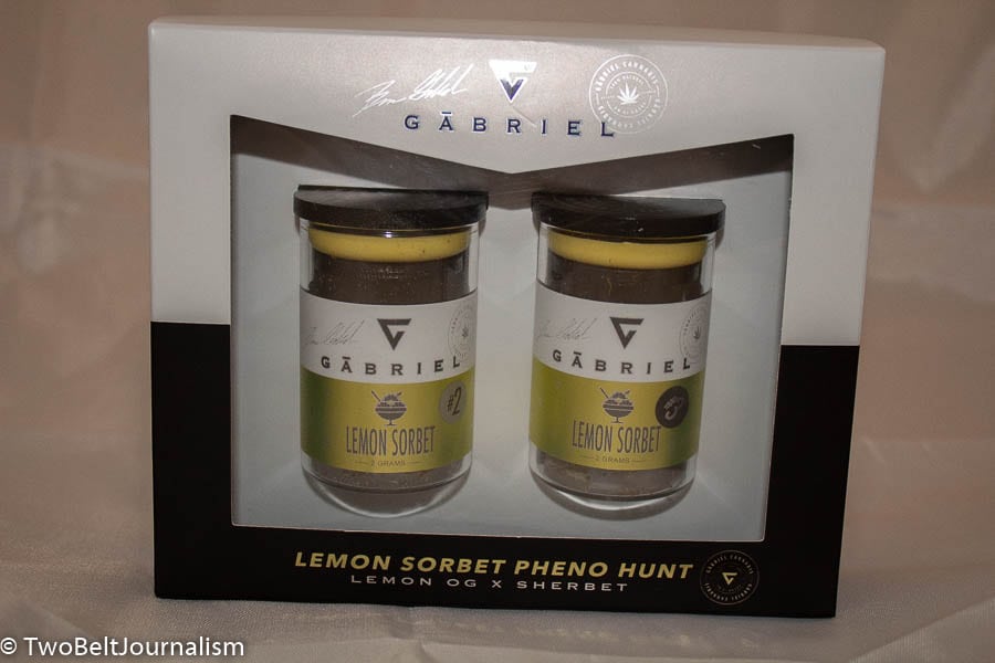 The Gabriel Cannabis Lemon Sorbet Pheno Hunt Winner