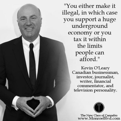 Shark Tank's Kevin O'Leary Interviews With Marijuana Business Daily About Cannabis Industry