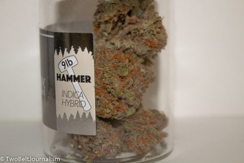 TreeHawk Farms - 9LB Hammer Strain Review