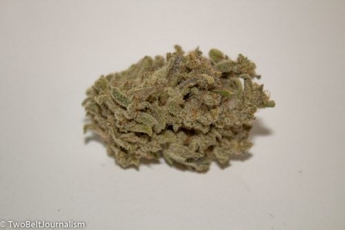 A Real Review Of TreeHawk Farms Chocolate Thai Strain