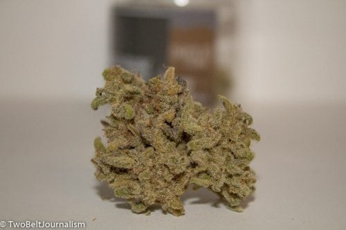 A Real Review Of TreeHawk Farms Chocolate Thai Strain