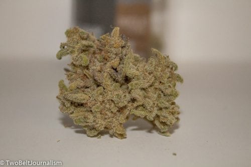 A Real Review Of TreeHawk Farms Chocolate Thai Strain