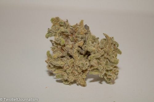 A Real Review Of TreeHawk Farms Chocolate Thai Strain