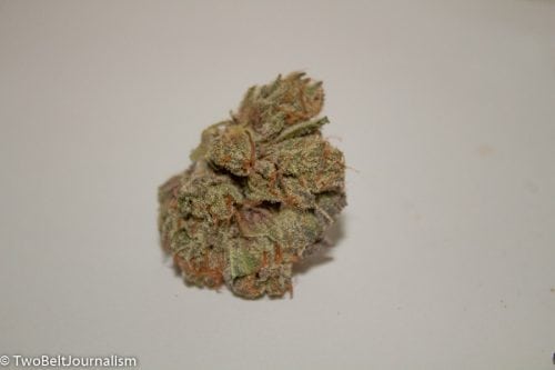 TreeHawk Farms - Skywalker OG Strain Review 