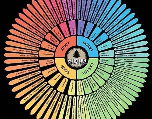 Western Cultured Extracts Let You Know Your Terps And Dab Them Too