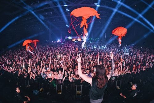 Seven Lions Chronicles