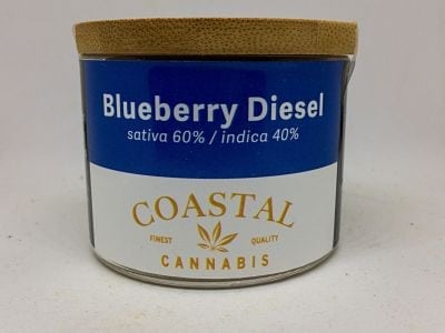 Blueberry Diesel Blueberry Diesel Cannabis Review (Feat. Coastal Cannabis)