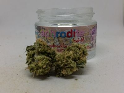 Aphrodite Aphrodite Cannabis Review (Feat. Mad Mark Farms)