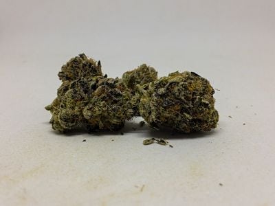 This Candyland Cookies Is One Of The Best Strains In Washington State