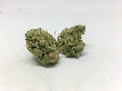 Fruit Loops Available Now At Cinder: Fruit Loops From Growing Like A Weed