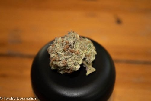 Learn More About Fireline's Mint Chocolate Chip Cannabis Strain