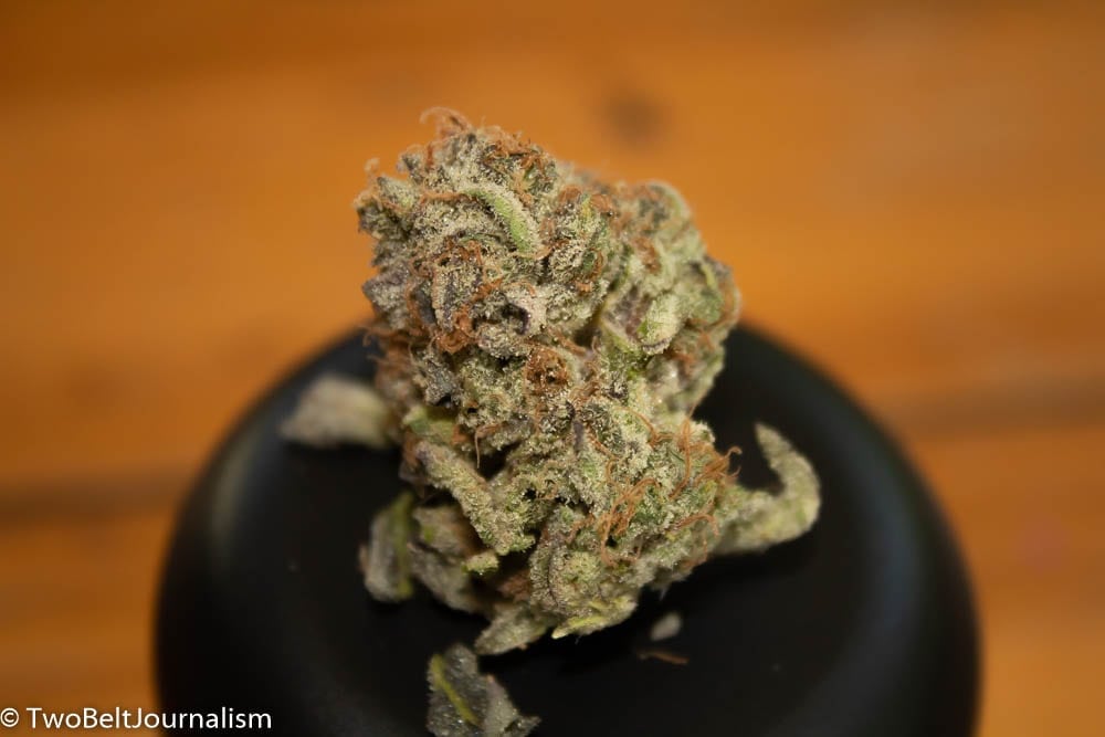 Mint Chocolate Chip Cannabis Strain Review (Feat. Fireline)