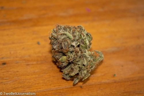 Learn More About Fireline's Mint Chocolate Chip Cannabis Strain