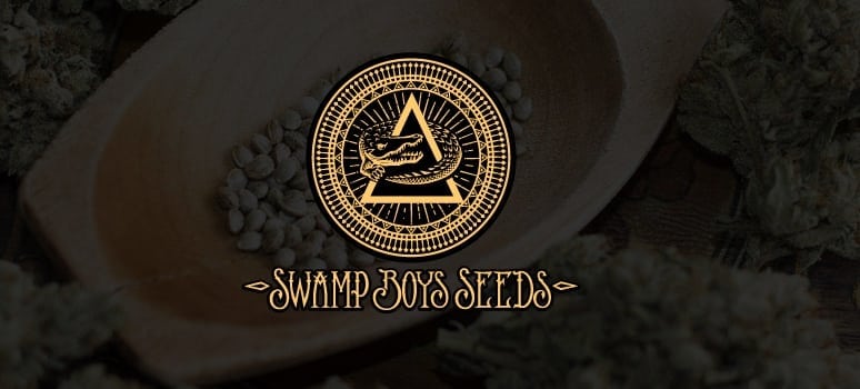 swamp boys cannabis strains