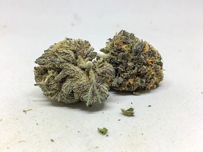 Purple Kush Tj's Organics Cannabis Review (Prod. Purple Kush)