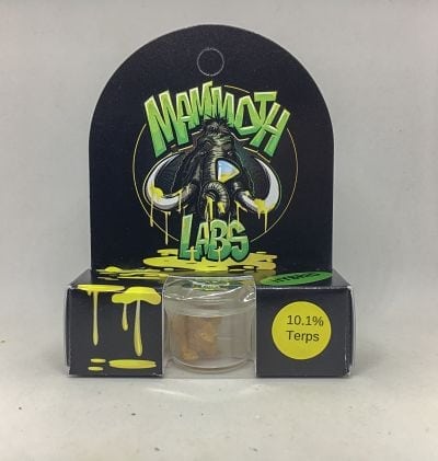 Summer McFly Mammoth Labs Cannabis Review (Feat. Summer McFly)