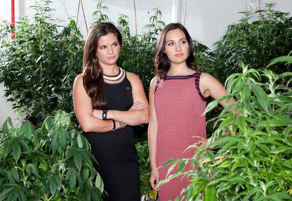 Cannabis x SXSW: Vote For This Panel On Women, Weed, And Tech!