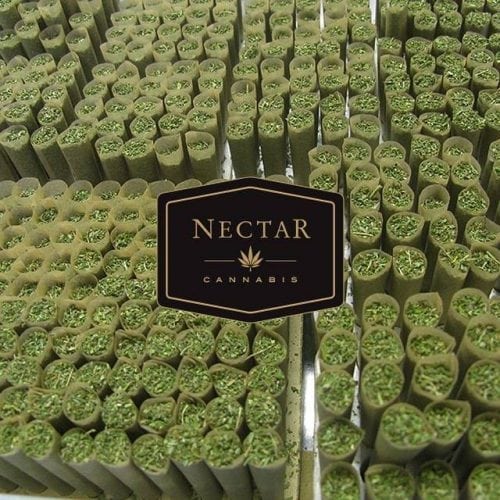 Nectar Portland, Visit Nectar For All Your Cannabis Needs