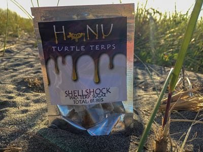 Shellshock Strain Review (Feat. Honu)