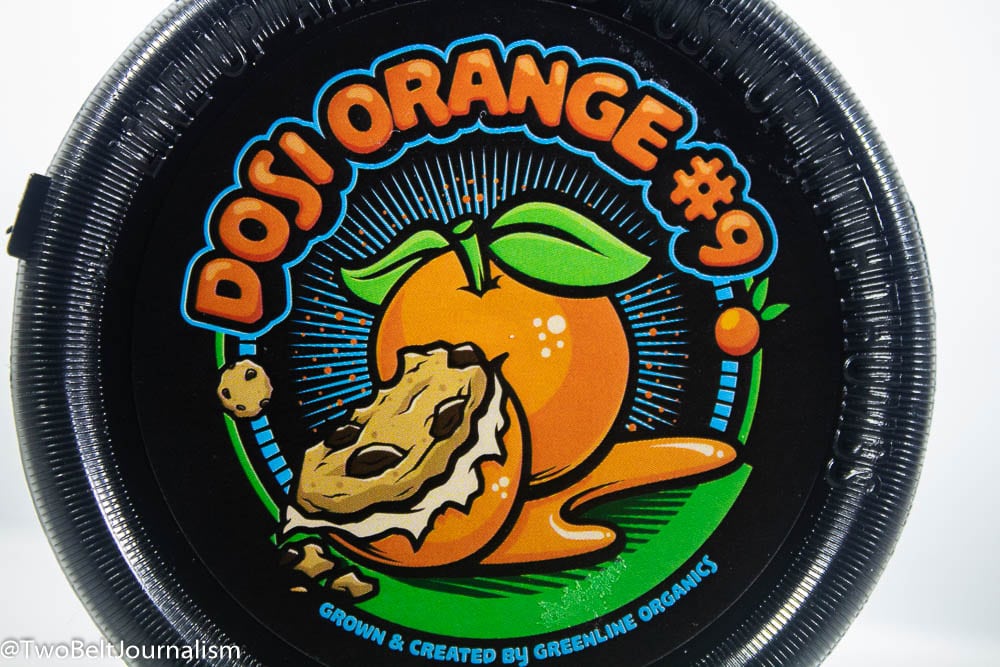 Dosi-Orange 9 Cannabis Review (Prod. Greenline Organics)