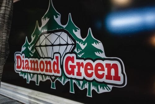 Save Big At Diamond Green During Lemon Haze Convention In Tacoma