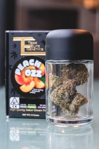 Peach Ozz Cannabis Review (Feat. Team Elite Genetics)