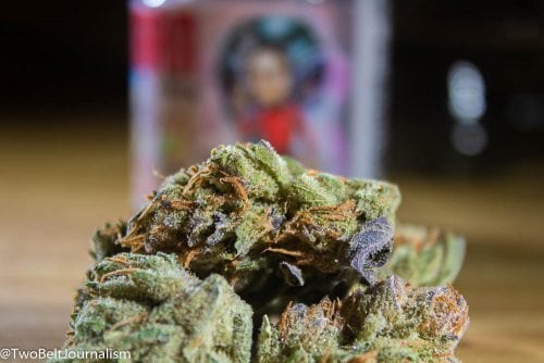 West Coast Weed Tour: Washington Weed What Makes Mad Mark's Carl Sagan Cannabis Strain So Dank?