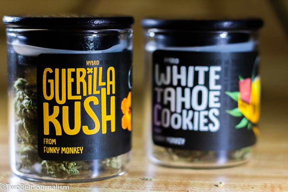 Guerilla Kush Cannabis Strain Review (Prod. Funky Monkey)