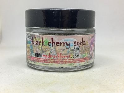 Black Cherry Soda Strain Review (Feat. Mad Mark Farms)