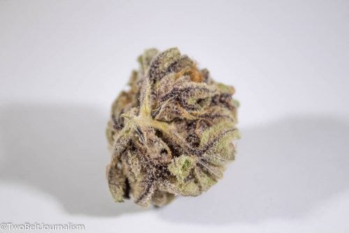 What Makes GLW's Rosé Cannabis Strain So Dank?