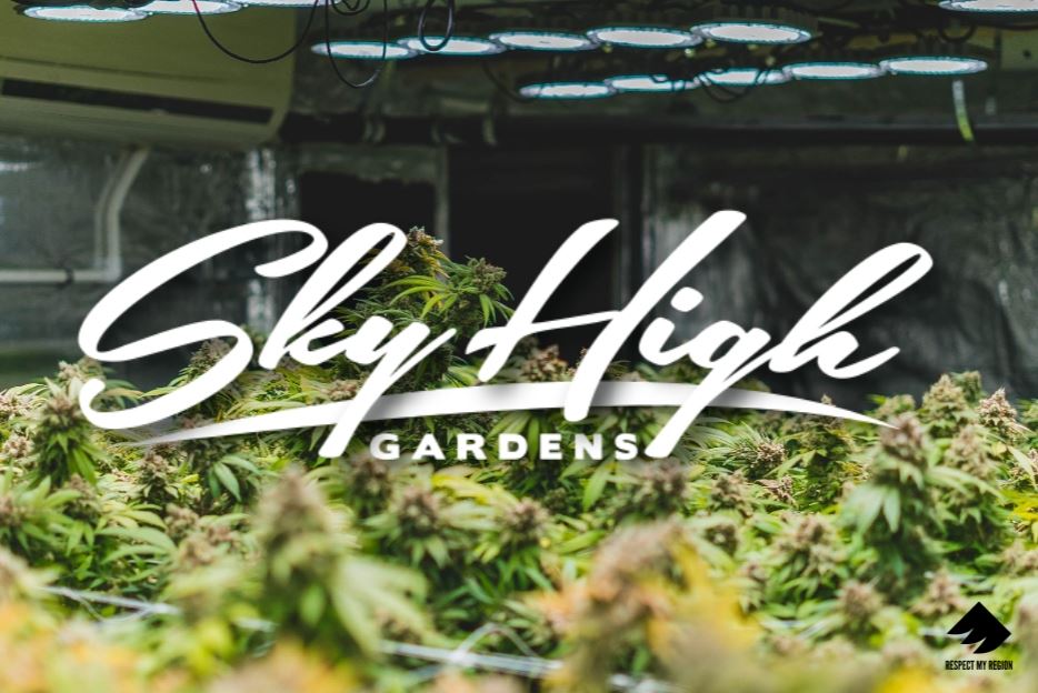 Sky High Gardens Teaches RMR How To Burp Cannabis And Press Rosin