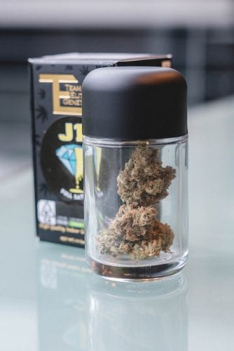 J1 Cannabis Review (Feat. Team Elite Genetics)
