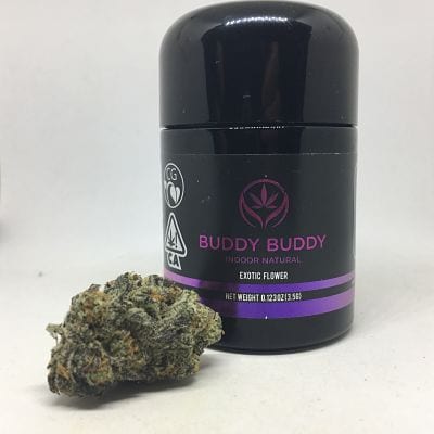 Mochi Strain Review (Feat. Buddy Buddy Indoor)