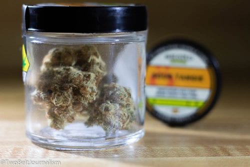 What Makes Skörd Marijuana's Sour Tangie Strain So Dank?