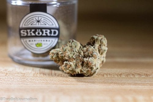 What Makes Skörd Marijuana's Sour Tangie Strain So Dank?