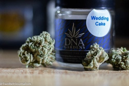 What Makes DNA Gardens Wedding Cake Strain So Dank?