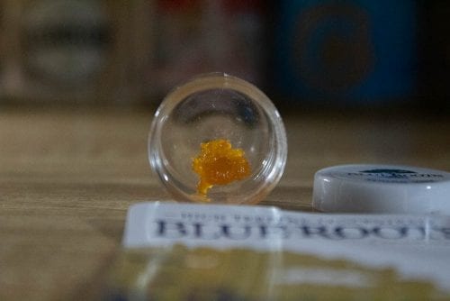 Chiquita Banana Sugar Wax Review (Prod. Blue Roots Cannabis)