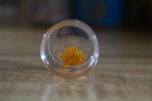 Chiquita Banana Sugar Wax Review (Prod. Blue Roots Cannabis)