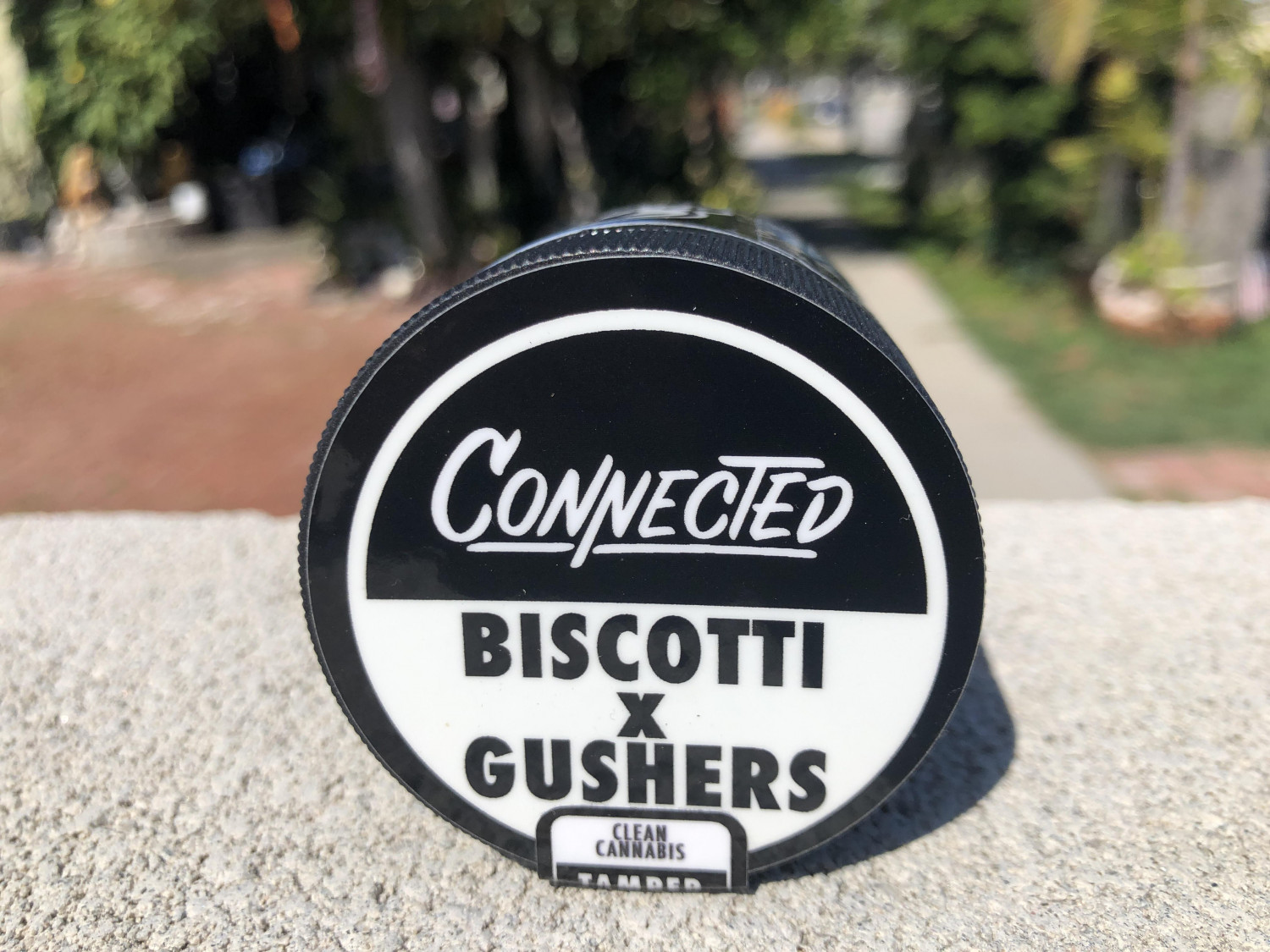 Biscotti Gushers Strain Review Ft. Connected Cannabis