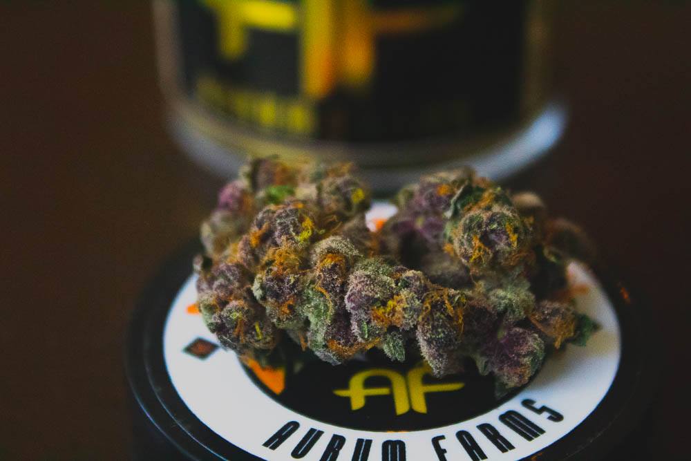 Cheap Tropicana Cookies feminized pot - Is it safe to order Tropicana Cookies feminized plant marijuana for sale