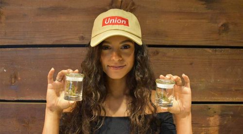 Why Are Budtenders So Important To The Cannabis Industry?