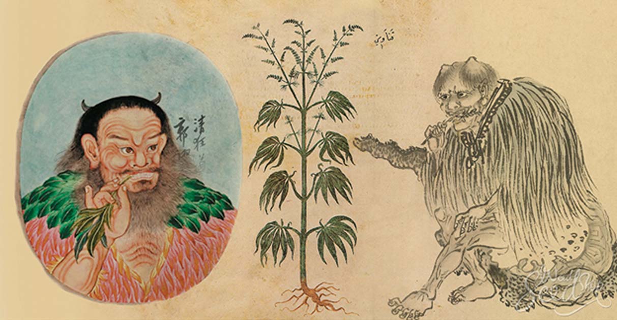 Scientists Discover The Earliest Known Evidence of Cannabis Use In China