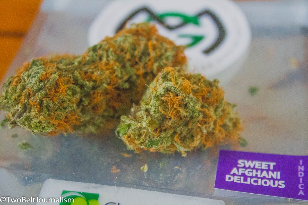 Millennium Green's Sweet Afghani Delicious Cannabis Strain Review