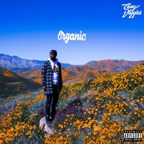 new album "organic"