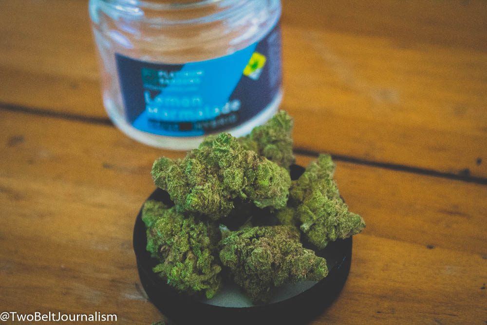 Platinum Gardens' Lemon Marmalade Cannabis Strain Review